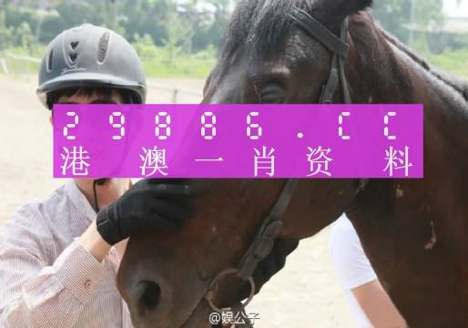 澳门一肖必中，揭秘背后的真相与风险警示澳门一肖一码必中一肖一码今晚