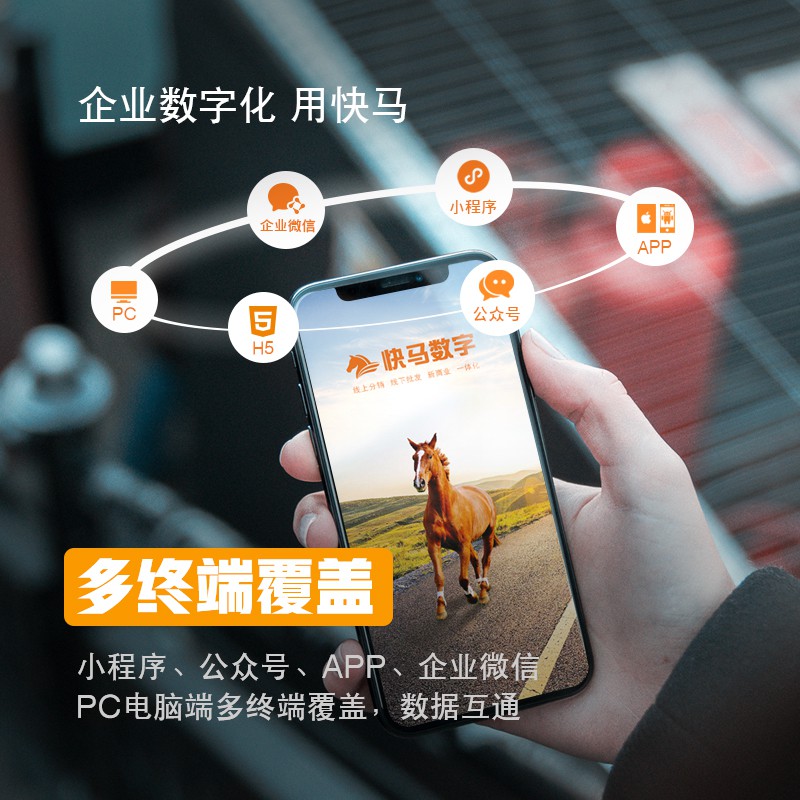 探秘管家婆一码与白蛇图坛，传统智慧在现代的微妙融合