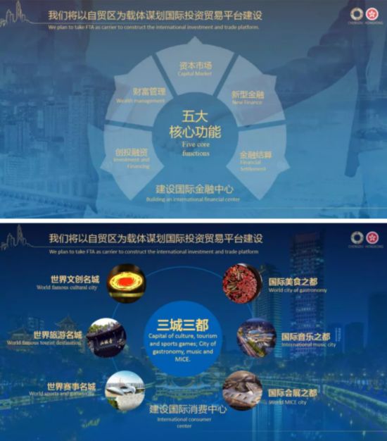 2036年澳门全年资料免费大全，探索未来之窗的全面指南2025年新澳门全年免费