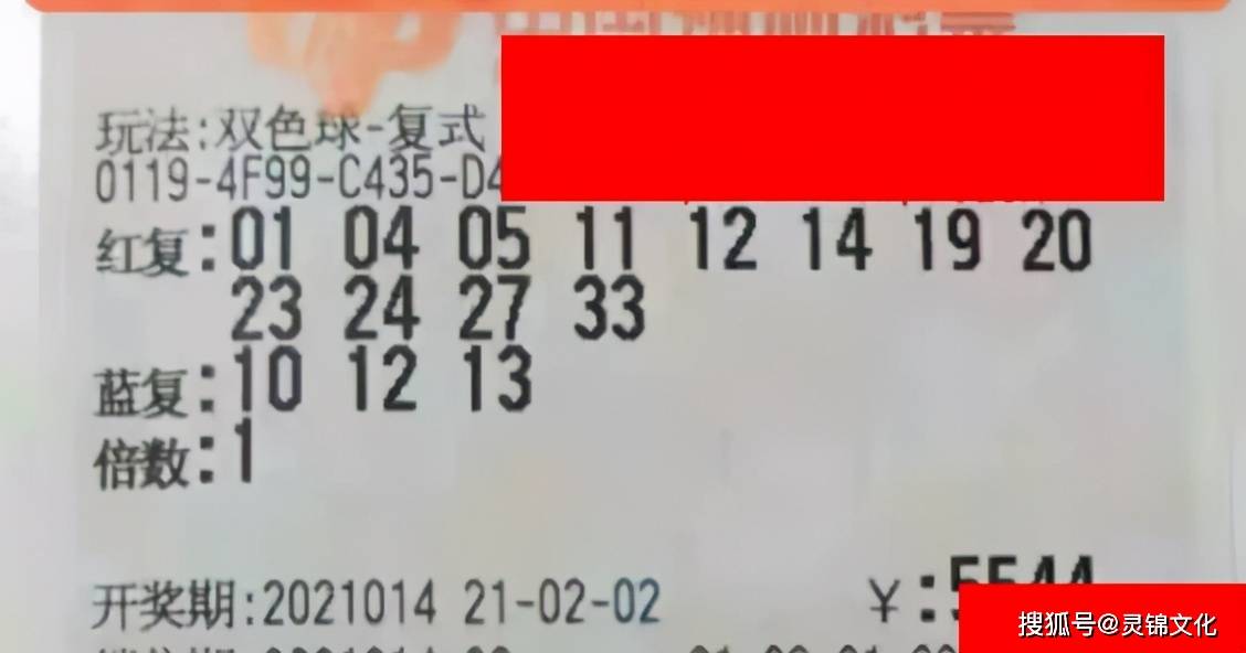 38期香港码开奖结果，揭秘数字背后的幸运与期待38期香港码开奖结果是什么