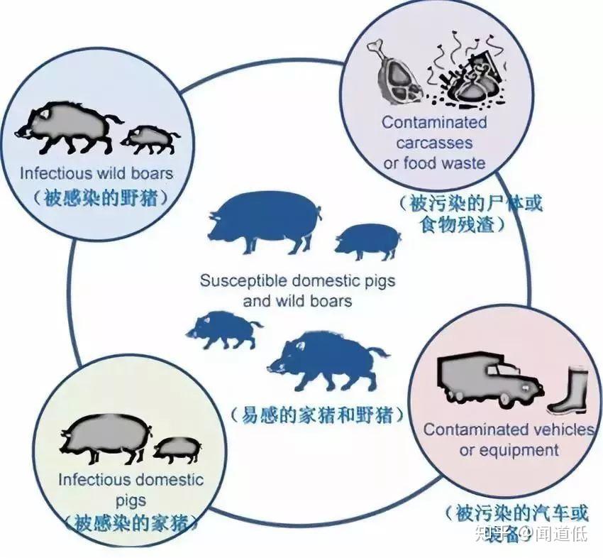 澳门正版管家婆资料大全，揭秘安全、合法与高效的信息获取途径