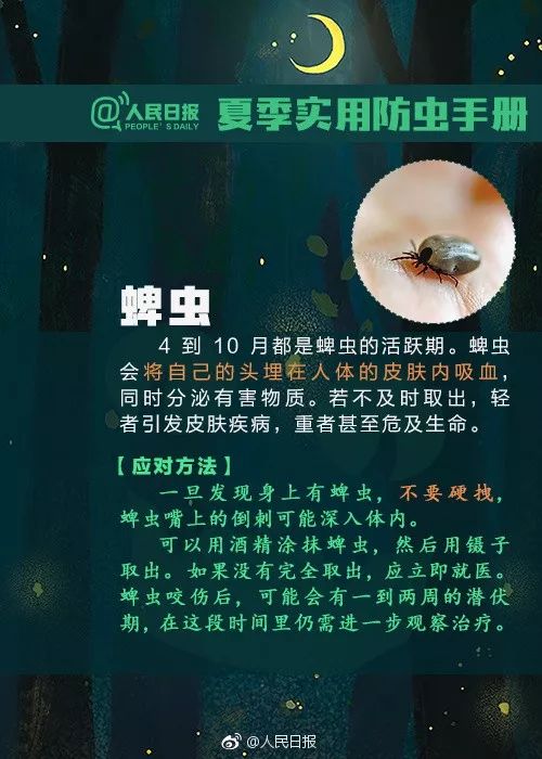 2036澳门资料免费大全，解锁最新资讯与实用指南2023澳门资料免费大全下载地址查询