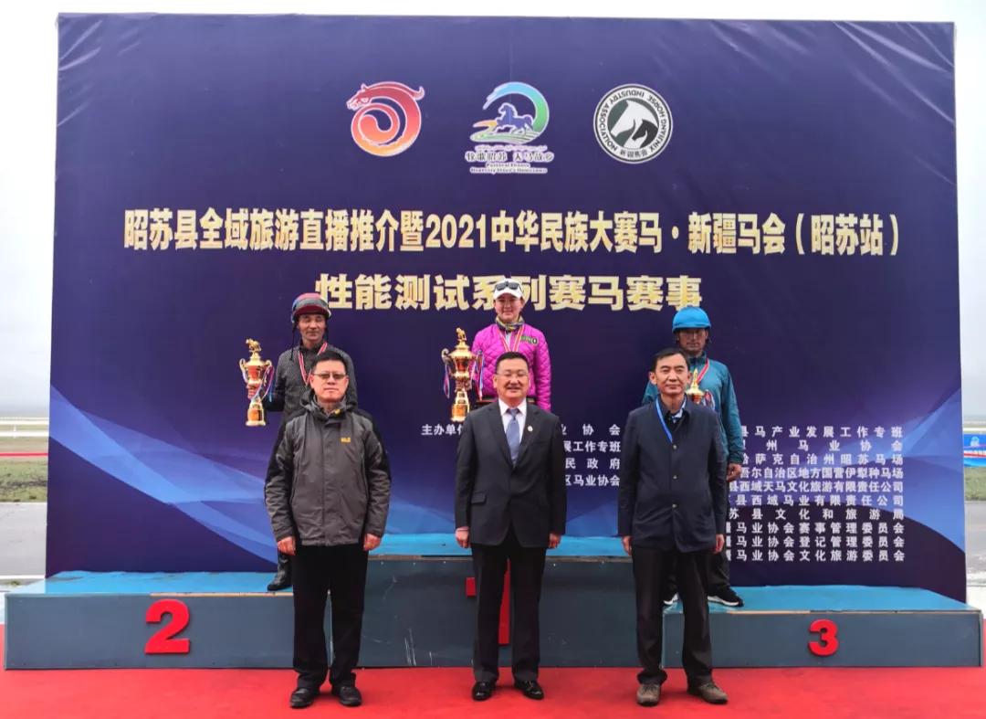 2019香港马会全年资料大全，精彩赛事与辉煌成就的回顾香港2021年马会资料大全