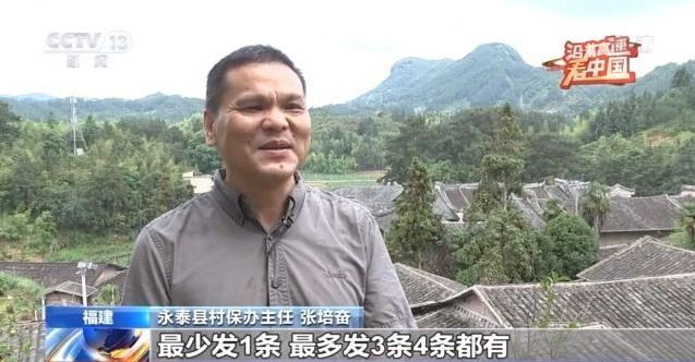 2048年澳门正版资料大全，生肖卡背后的文化与娱乐澳门马开奖结果 开奖结果生肖表
