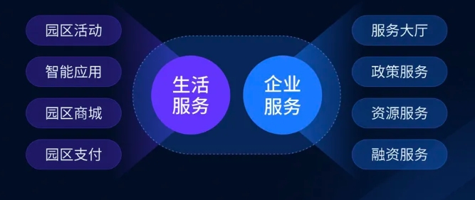淘码论坛，数字时代的智慧交流平台淘码论坛高手