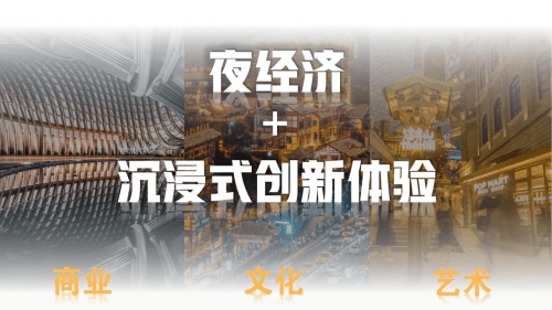 365+1，探索不平凡的旅程—记一次深度体验在奇遇·2049年度的第7天，即公历中的非闰年的最后一天（或称‘特别日’我踏入了名为 数字]论坛的世界