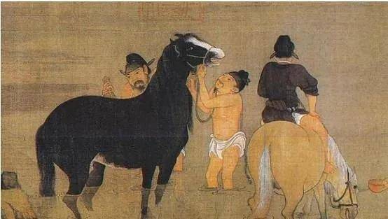 今晚特马图，揭秘神秘数字背后的奇幻之旅今晚特马图资料下2025