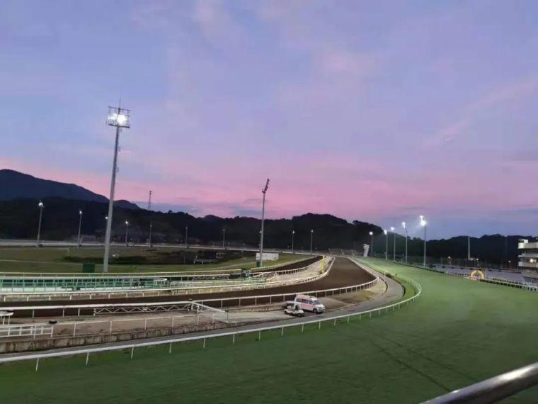 2019年香港马会最快开奖结果，揭秘与影响2021 香港 马会最快开奖结果