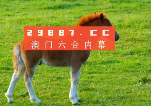 澳门码开奖记录，揭秘背后的故事与影响澳门码开奖记录128期开奖结果