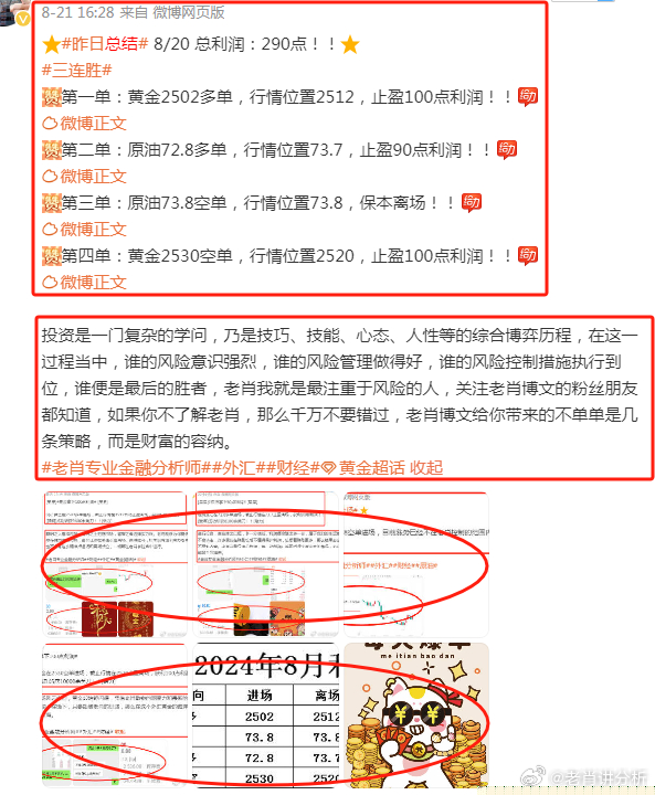 管家婆精选二四六码，揭秘背后的智慧与风险管家婆精选246码