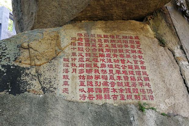 免费资料大全，香港曾道资源库的深度探索2021曾道正版香港资料大全下载