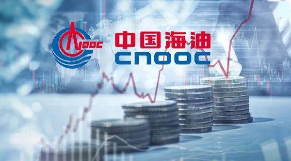 澳门2045免费资料大全，深度解析与实用指南澳门2024免费资料大全抓马王