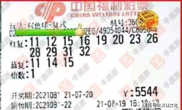 2019年特马生肖图，传统与现代交融的幸运符号二0一九年特马生肖图