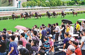 探秘香港本港台开马结果，一场文化与娱乐的交融盛宴本港台开马查询