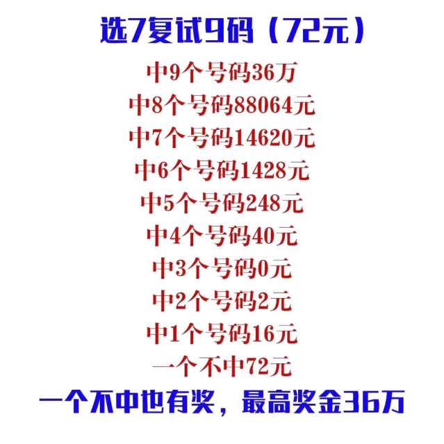 6.5亿彩票背后的王中之王，免费提供的护栏与人生哲理660678王中王免费提供护栏24码660678