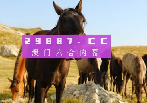 2046年，管家婆的马资料—未来赛场上的智慧之眼管家婆24马精选