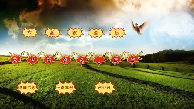 澳门今期开奖结果，揭秘新澳门的幸运时刻新澳门今期开奖结果查询2483