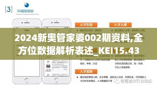 新澳2024管家婆资料