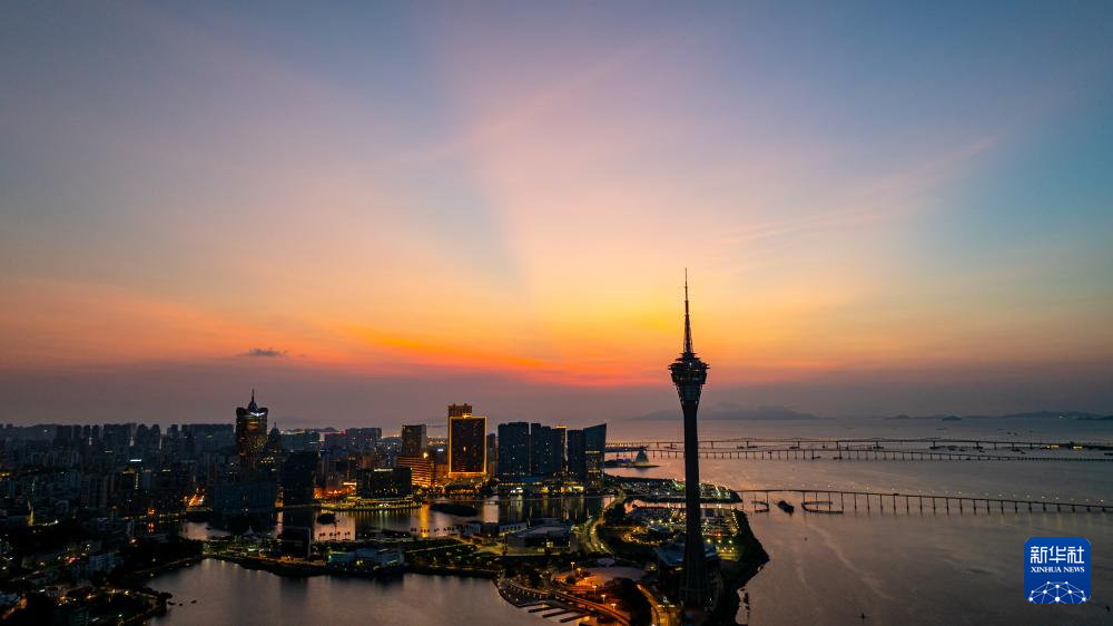 正版与四不像的博弈，一肖中特—数字时代的版权迷局正版四不像一肖必中特图