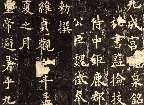 探索新澳马，今天最快最新的图库揭秘新澳马今天最快最新图库223期四不像图片
