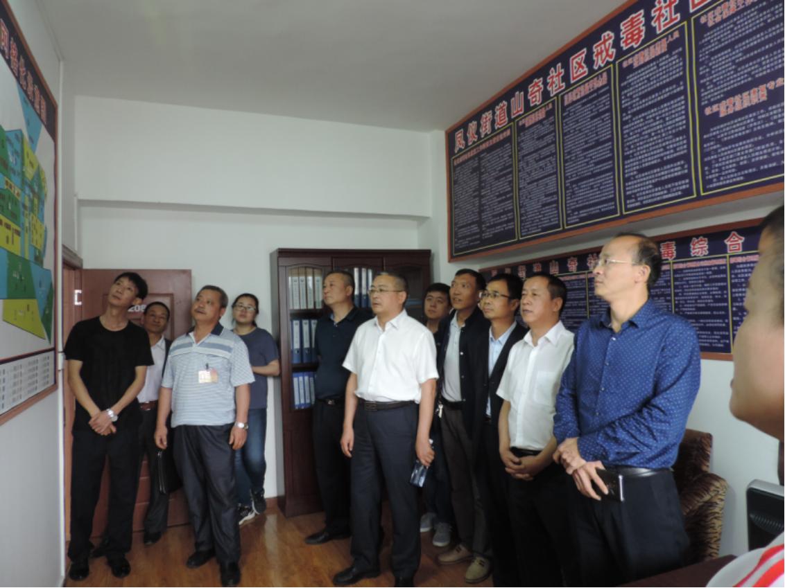 现场报码聊天室，数字时代的即时交流新阵地现场报码聊天室是干嘛的