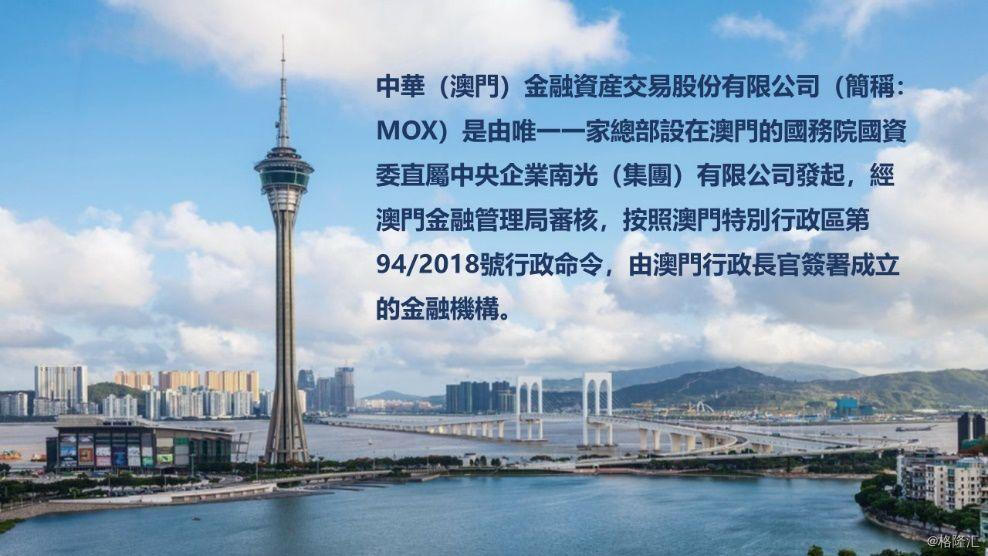 2036年，展望未来，澳门资料公开的数字化新纪元2025澳门正版免费资本