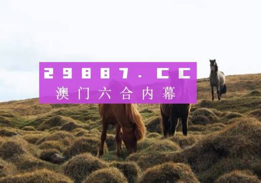 澳门新老开奖，203年回顾与展望新老澳门开奖结果2023开奖记录查询