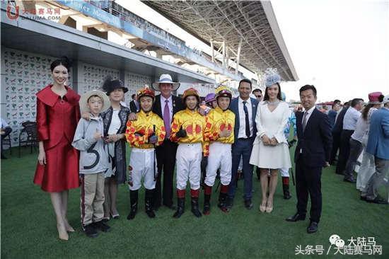 免费马会传真论坛，揭秘赛马的魅力与智慧马会传真论坛免费资料十年
