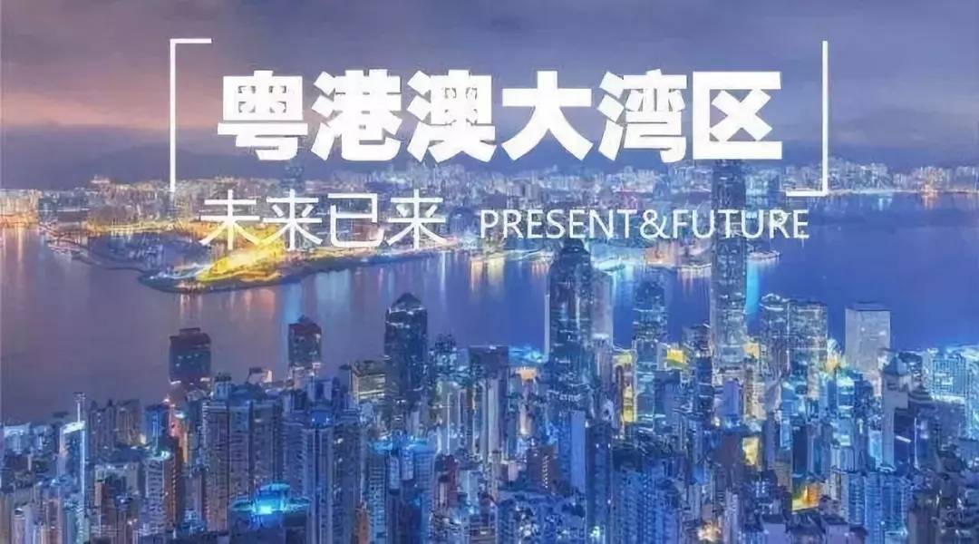 2036年澳门全年资料免费大全，探索澳门的多元魅力与文化深度2021年澳门全年资料公开