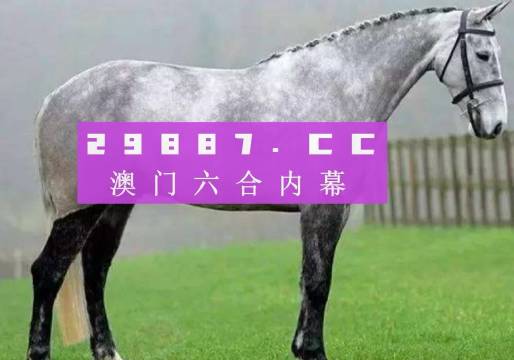 澳门特马今晚开奖，3月1日揭晓的幸运与期待2023澳门特马今晚开奖3月1日开什么