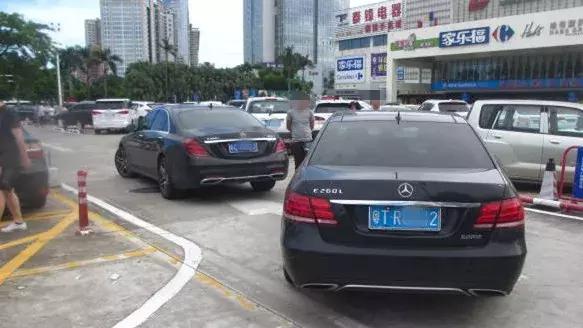 粤彩网，广东文化与现代科技的璀璨交汇粤彩网站