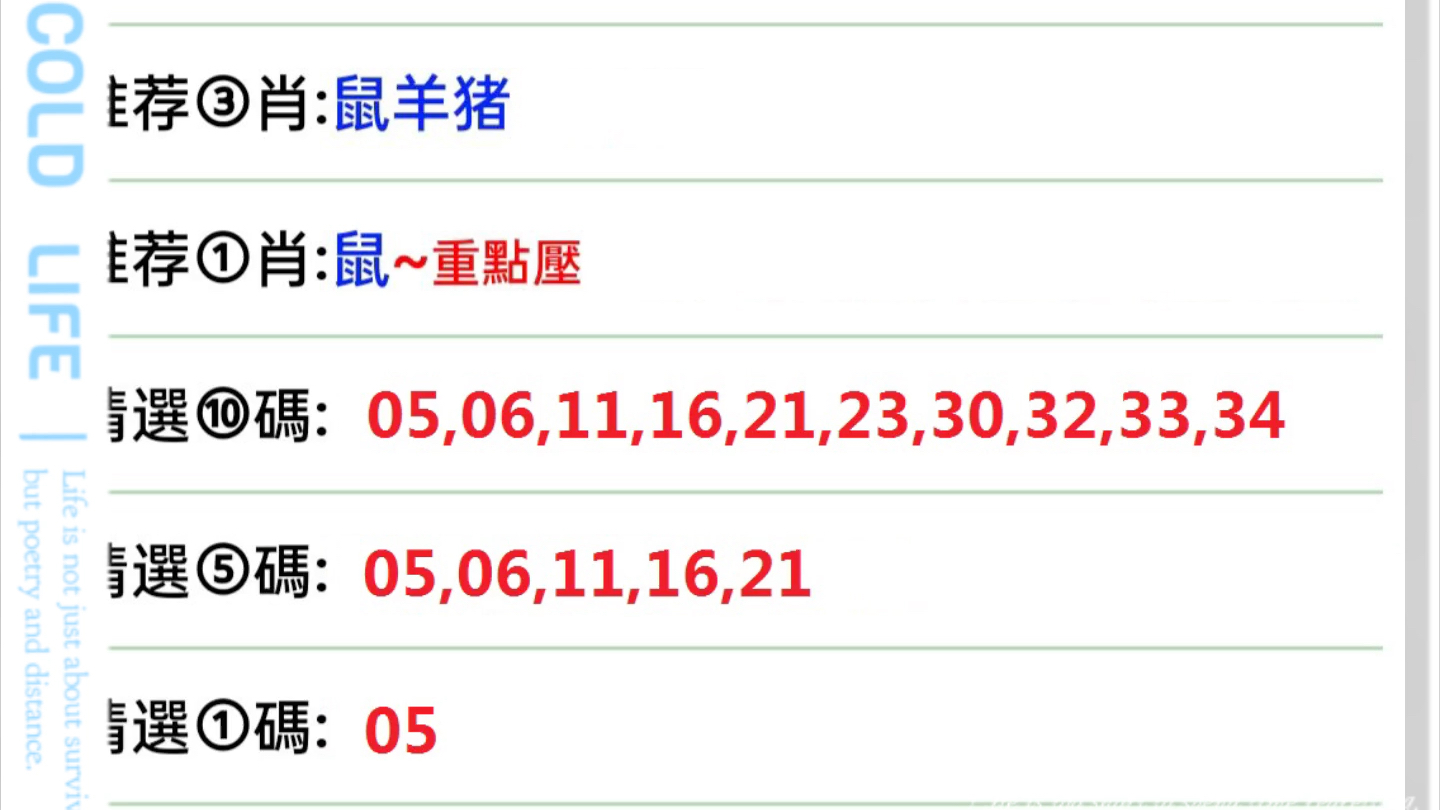 澳门彩今日开奖揭秘，探寻新澳门的幸运密码新澳门彩今天开什么查询野兽