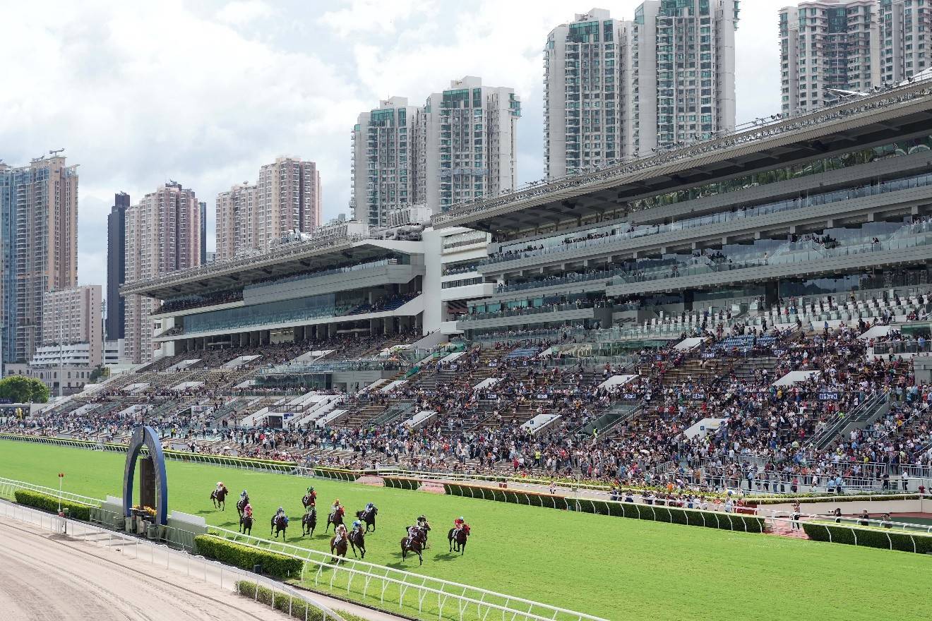 香港马会开奖结果直播的魅力与影响