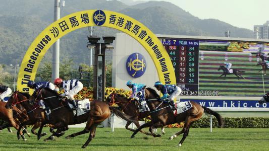 探索香港赛马会，最准资料与免费资料的智慧之选