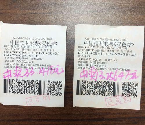 6合开奖结果，揭秘彩票背后的真相与理性思考6合开奖结果记录