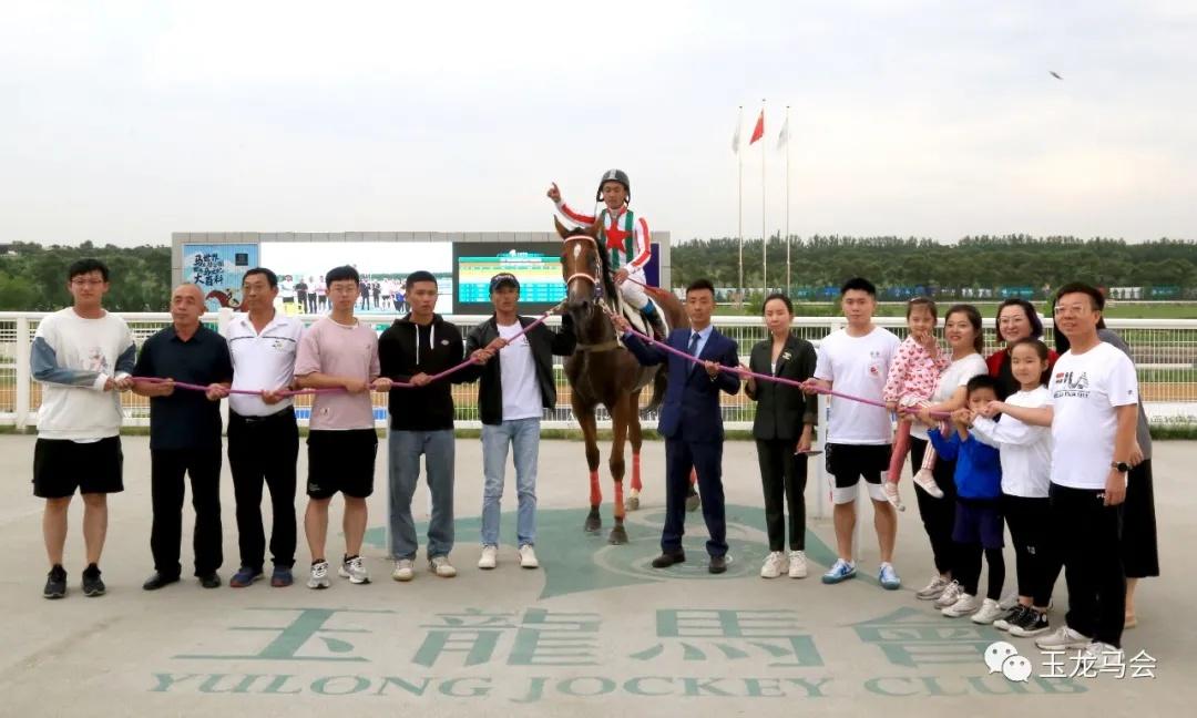 2019年香港马会资料大全，赛驹纵横，精彩纷呈