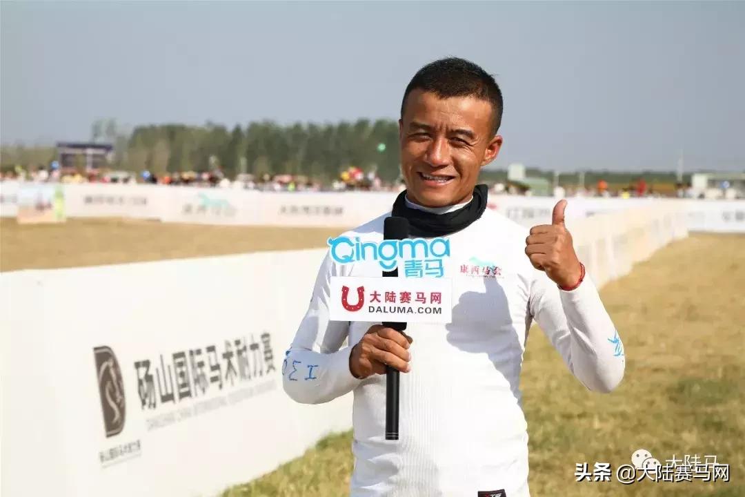 2019香港马会全年资料大全，精彩赛事与公益成就的璀璨篇章
