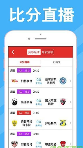 澳门新快彩，探索最快开奖结果的奥秘新澳门最快开奖结果开奖网站查询