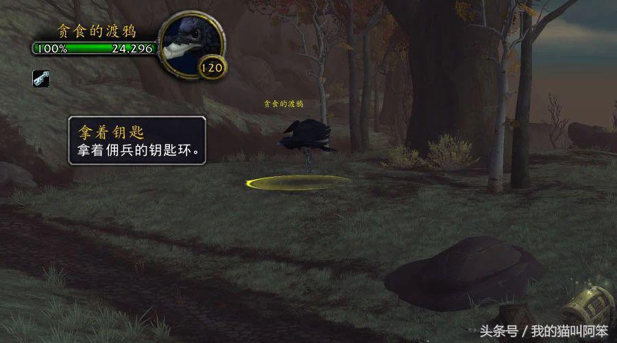 2019全年免费资料大全，解锁知识宝藏的钥匙2019正版免费全年资料