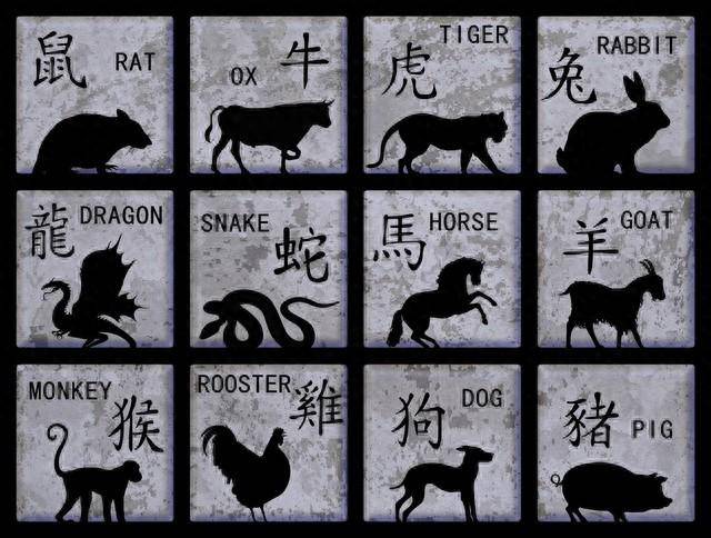 揭秘最准一肖，揭开数字背后的神秘面纱2004最准的一肖一码100%