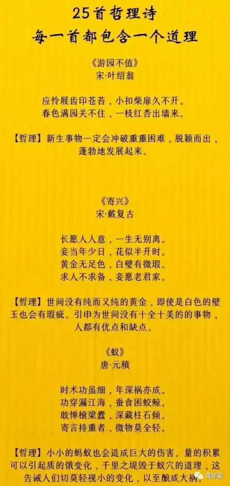 白小姐49期精准一句诗，揭秘生活哲理与幸运密码白小姐449999精准一句诗6548bbs.