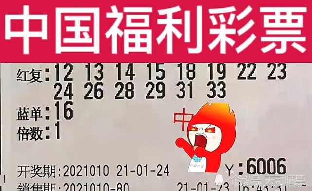 今晚开奖结果，期待与惊喜的交织今晚开奖结果查询双色球