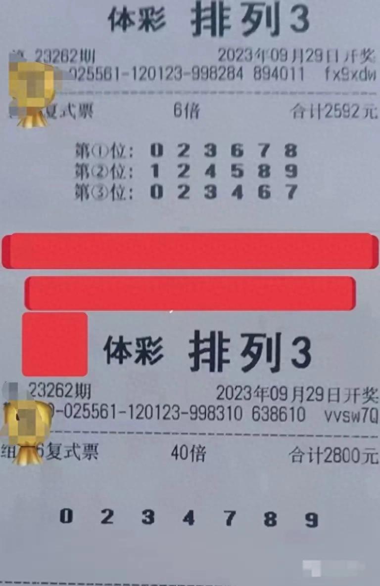 2049，揭秘排三的奥秘—从第756期到未来趋势排列三2020205期开奖号码