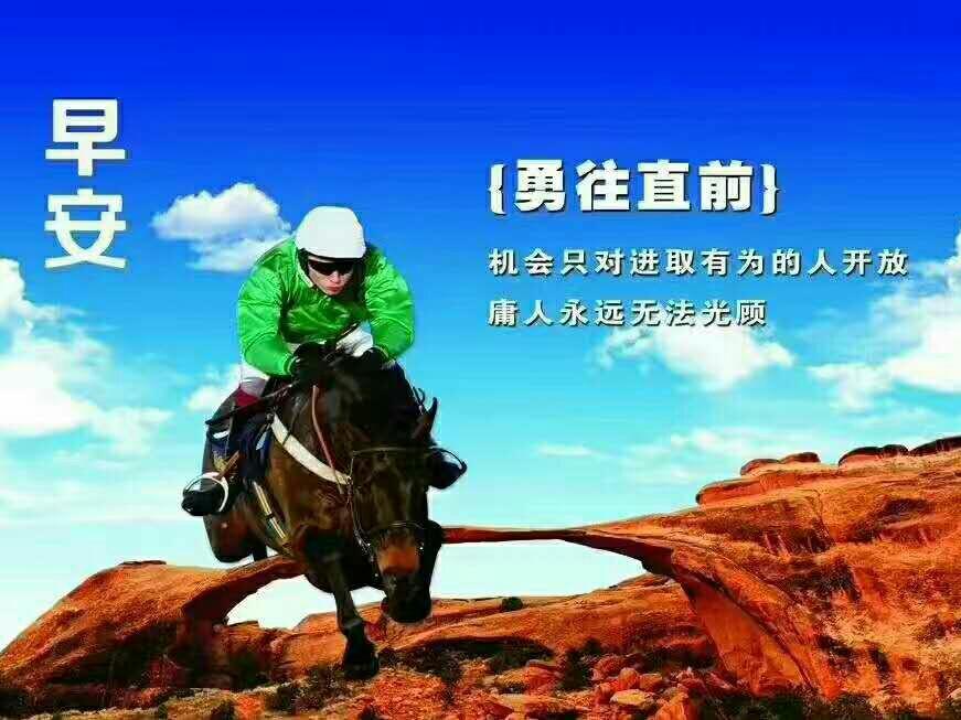 河南体彩七位数今日揭晓，梦想与幸运的碰撞河南体彩七位数今天开奖号码