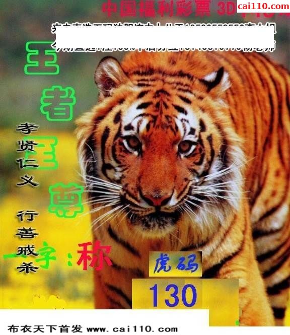 探索3D画谜全图的奥秘，一场视觉与智力的盛宴福彩3d画迷图谜大全