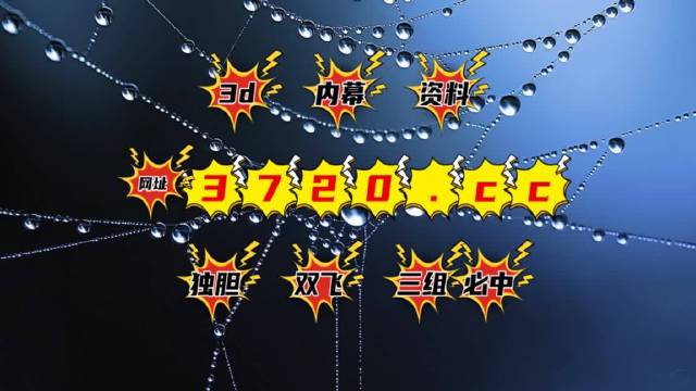 3D图迷总汇，探索数字与艺术的奇妙融合3d图迷总汇牛彩图迷汇总九