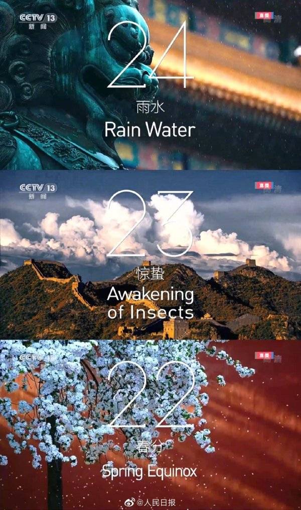 探索红53d图库总汇，数字时代的视觉盛宴红53d图库三地总库