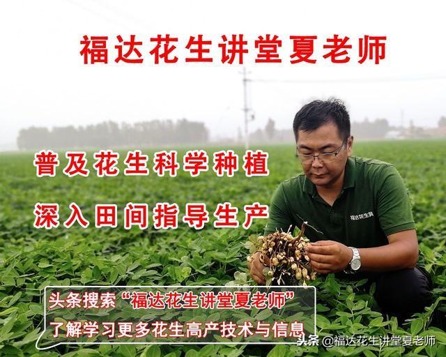 河北十一选五走势图表，理性分析下的数字游戏河北十一选五走势图表!
