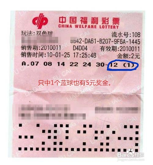2025年5月26日 第3页