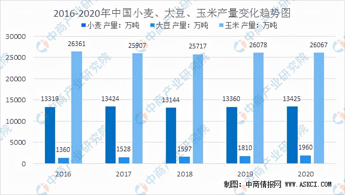 探索双色球65期走势图，揭秘数字背后的奥秘双色球65期走势图表